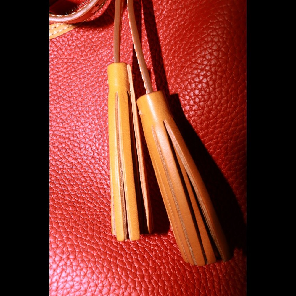 NEW DOONEY & BOURKE PEBBLE GRAIN PAIGE SAC IN RED - Picture 4 of 10